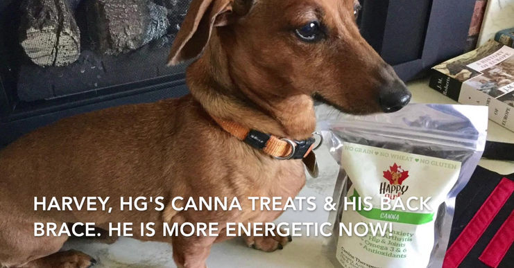 Seeing Is Believing HG Canna Canines
